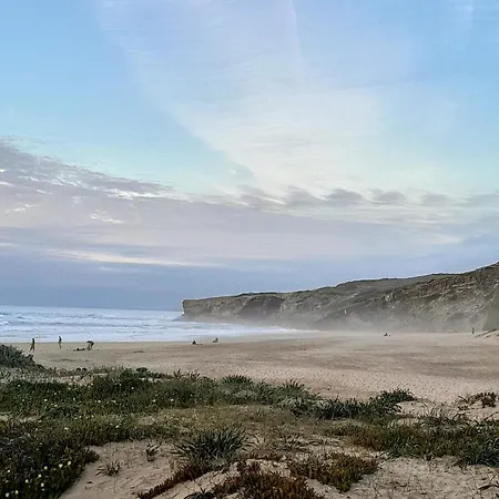 Vicentin Coast